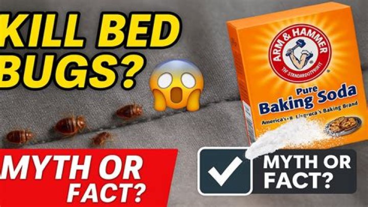 Does baking soda kill bed bugs in carpet?