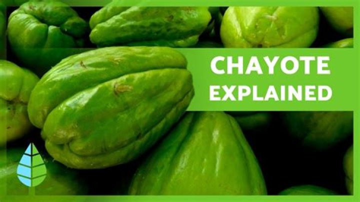 Is chayote good for pregnant woman?