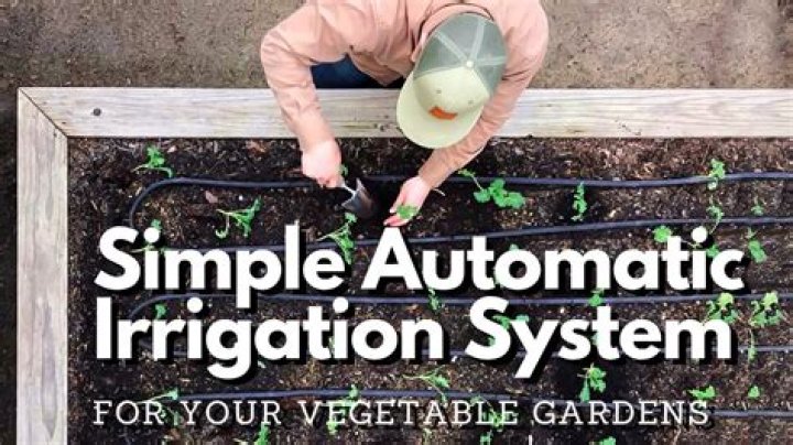 When should I irrigate my lawn?